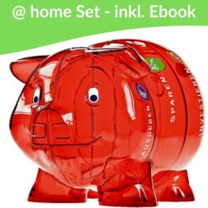 Geldkurs mit Sparschwein rot